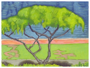 Tree along Ala Wai Canal, from Ala Moana Hotel balcony; 6"x8" opaque watercolor on artist canvas.